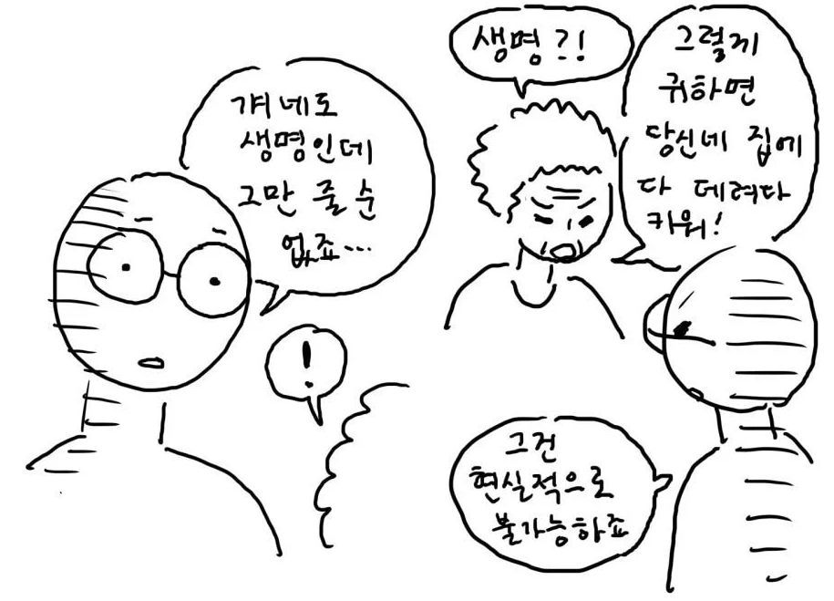 캣맘, 캣대디가 길고양이 먹이 주고 나면 생기는 일.jpg | 인스티즈