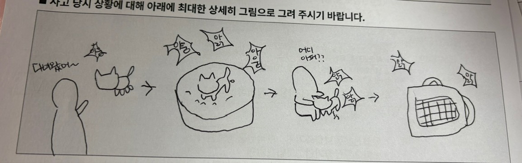 펫보험 청구하는데 그림 그리래 | 인스티즈