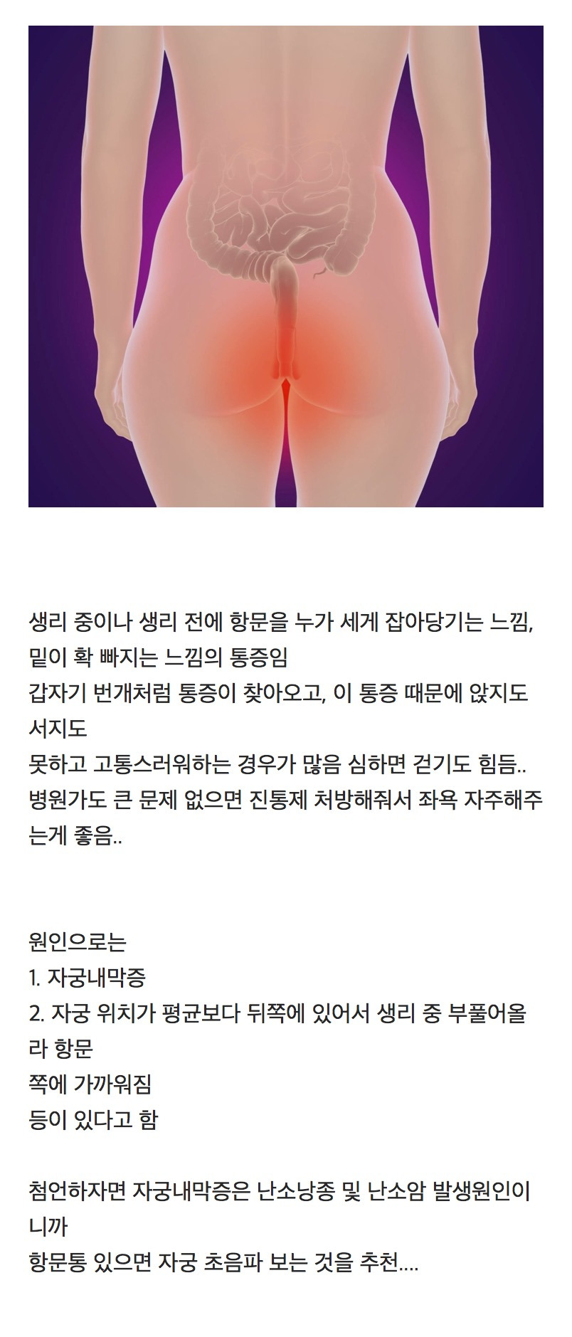 아는 사람만 아는 고통.....생리통 중 항문통.jpg | 인스티즈