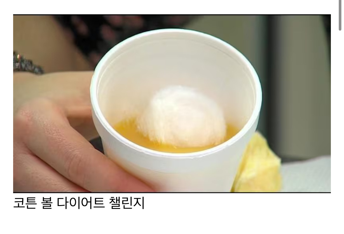 한국인들은 이해 못할 외국(거의 미국)에서 유행했던 틱톡 챌린지들 | 인스티즈