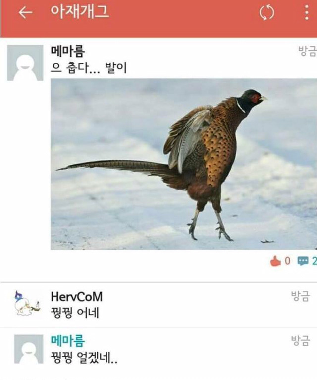 이거보고 안웃으면 진짜 얼음공주ㅇㅈ | 인스티즈