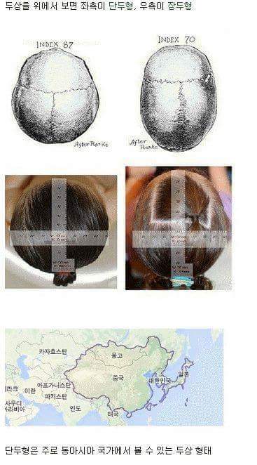 장두형vs단두형 | 인스티즈