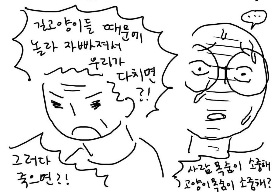 캣맘, 캣대디가 길고양이 먹이 주고 나면 생기는 일.jpg | 인스티즈
