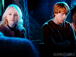 양덕들 정말 지독하다고 느낀 해리포터 비공식 커플 | 인스티즈