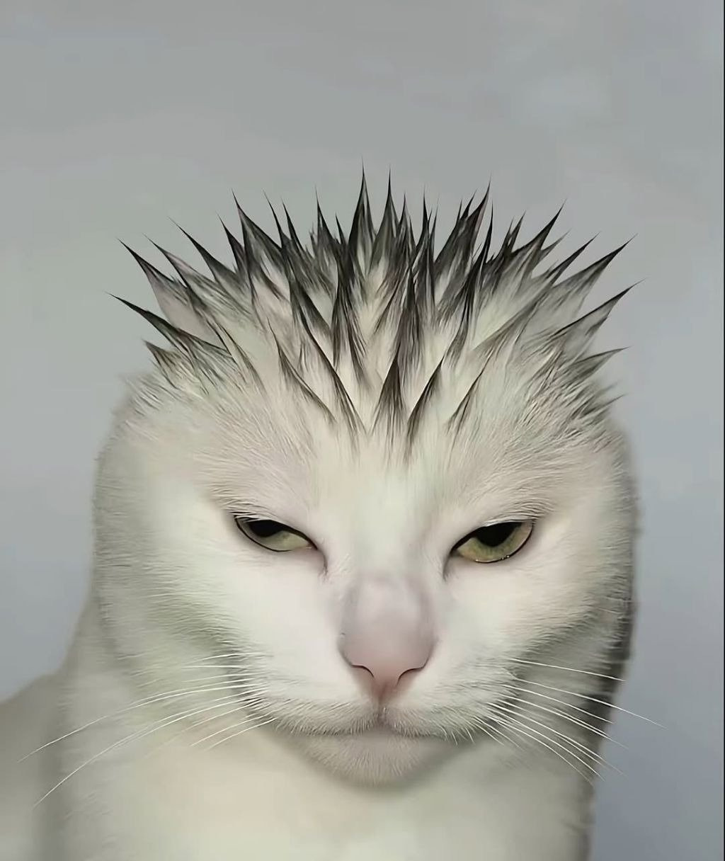 학교 다닐 때 졸라 독한 선생님 머리 | 인스티즈