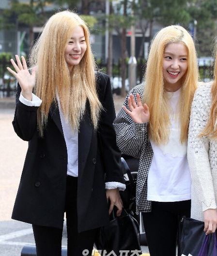 보기만해도 아파보이는 머릿결 모음.jpg | 인스티즈