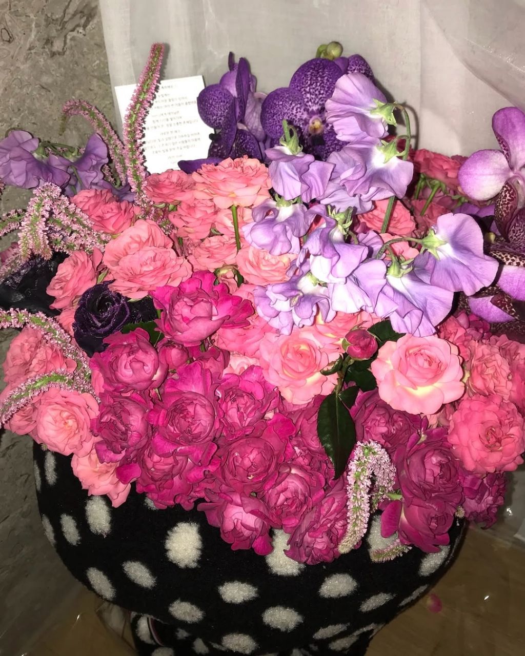 어제 생일이었던 아이브 레이 인스타 | 인스티즈