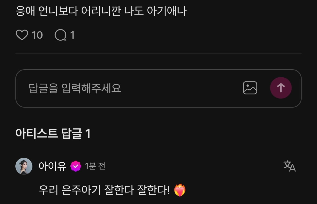 수능 응원 댓글 달다가 갑자기 개정색하는 아이유.jpg | 인스티즈