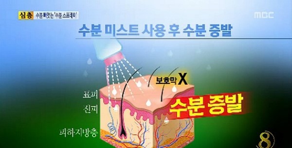 미스트의 진실 | 인스티즈