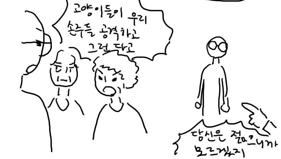 캣맘, 캣대디가 길고양이 먹이 주고 나면 생기는 일.jpg | 인스티즈