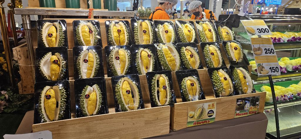 태국 방콕 1주일 느낀점 | 인스티즈