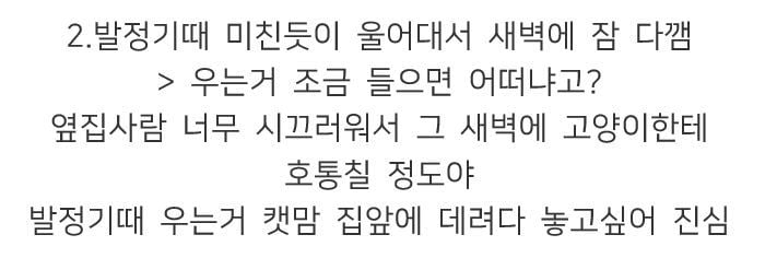 캣맘, 캣대디가 길고양이 먹이 주고 나면 생기는 일.jpg | 인스티즈