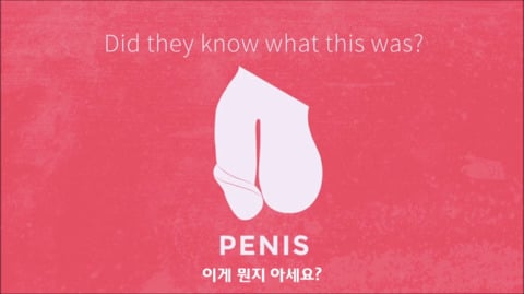 '클리토리스' 크기 = '페니스' 크기 (클리 갖고 있으면 꼭 읽어주라!) | 인스티즈