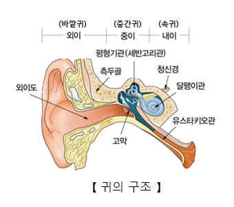 귀 뭘로 파? 면봉? 귀이개? 손? 이어폰 자주 껴? -그러면 귓병 생김- | 인스티즈