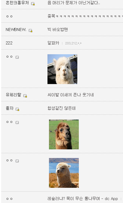 오늘자 미용실가서 머리 망친 주갤러 + 후회중 | 인스티즈