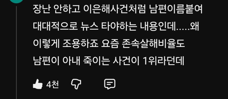 부사관 살인사건 유튜브 공감 댓글 | 인스티즈