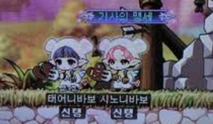 메이플 커플 서로얼굴공개.jpg | 인스티즈