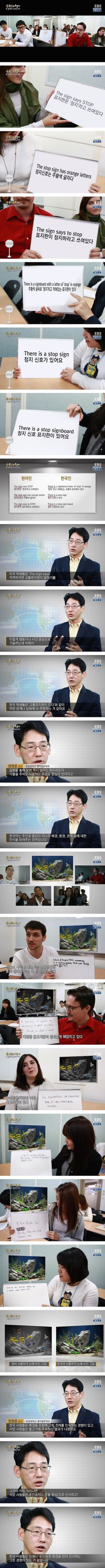 한국인에게 영어가 어려운 이유 | 인스티즈