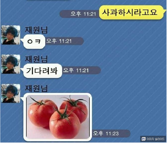 완벽한 사과문의 예.jpg | 인스티즈