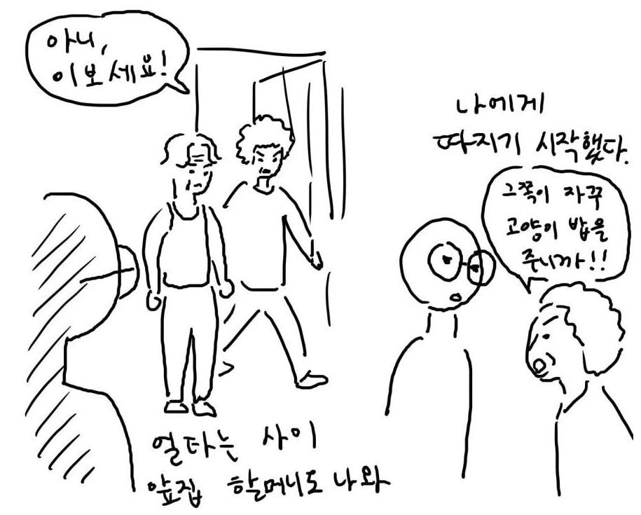 캣맘, 캣대디가 길고양이 먹이 주고 나면 생기는 일.jpg | 인스티즈