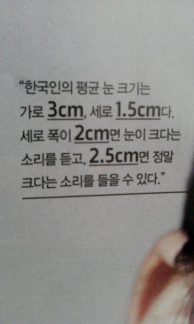 한국인 평균 눈크기.jpg | 인스티즈