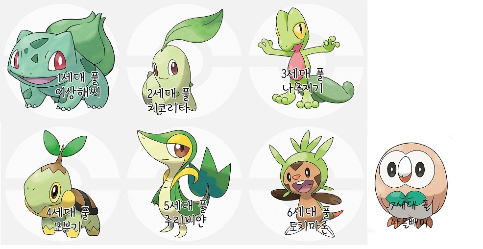 우리가 포켓몬을 2세대 이후로 잘 모르는 이유 | 인스티즈