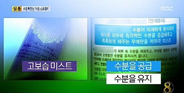 미스트의 진실 | 인스티즈