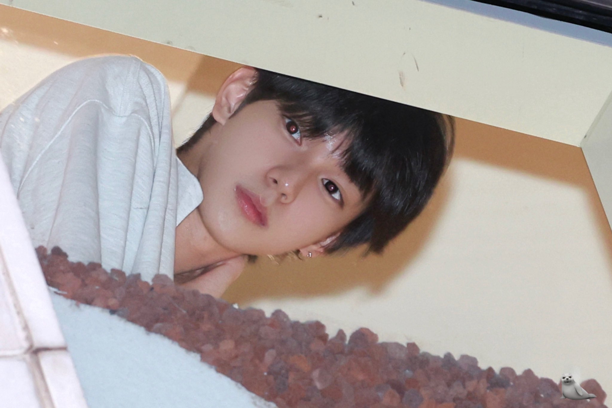 피어싱하고 싶어서 모은 아이돌 피어싱 사진 | 인스티즈