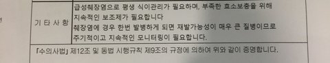 강아지파스타를 먹고 다음날 장애견 판정받았습니다 | 인스티즈