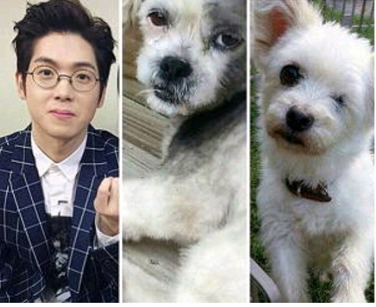 화장품 실험실에서 학대받던 강아지 데려와 키우는 랩퍼.jpg | 인스티즈