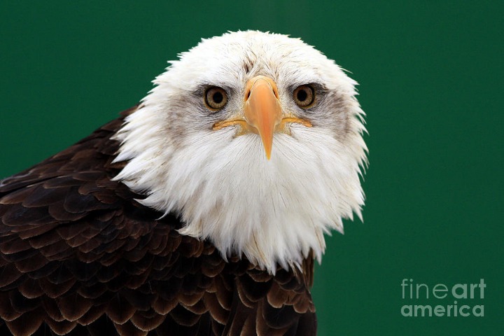 각도빨 레전드.jpg | 인스티즈