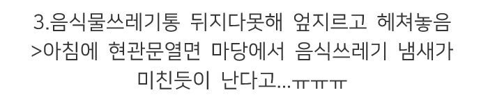 캣맘, 캣대디가 길고양이 먹이 주고 나면 생기는 일.jpg | 인스티즈