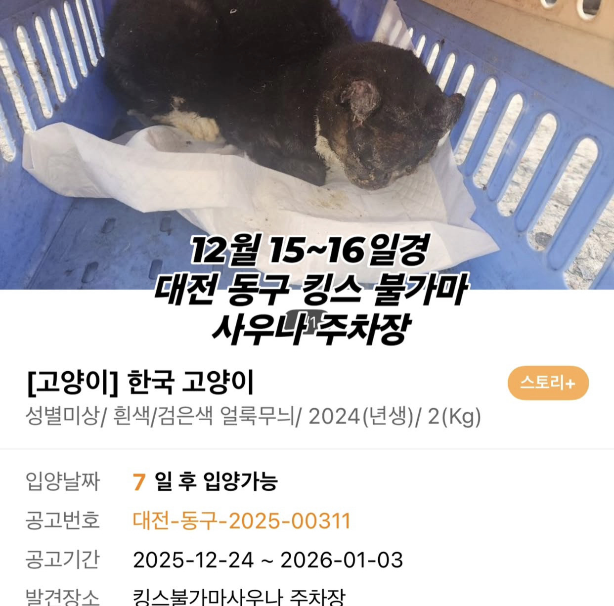 현재 사례금 500만원 걸린 사건(사진 주의) | 인스티즈