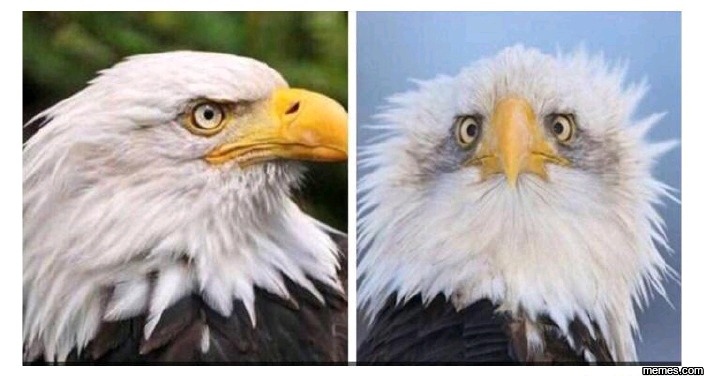 각도빨 레전드.jpg | 인스티즈