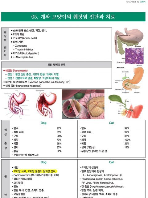 강아지파스타를 먹고 다음날 장애견 판정받았습니다 | 인스티즈