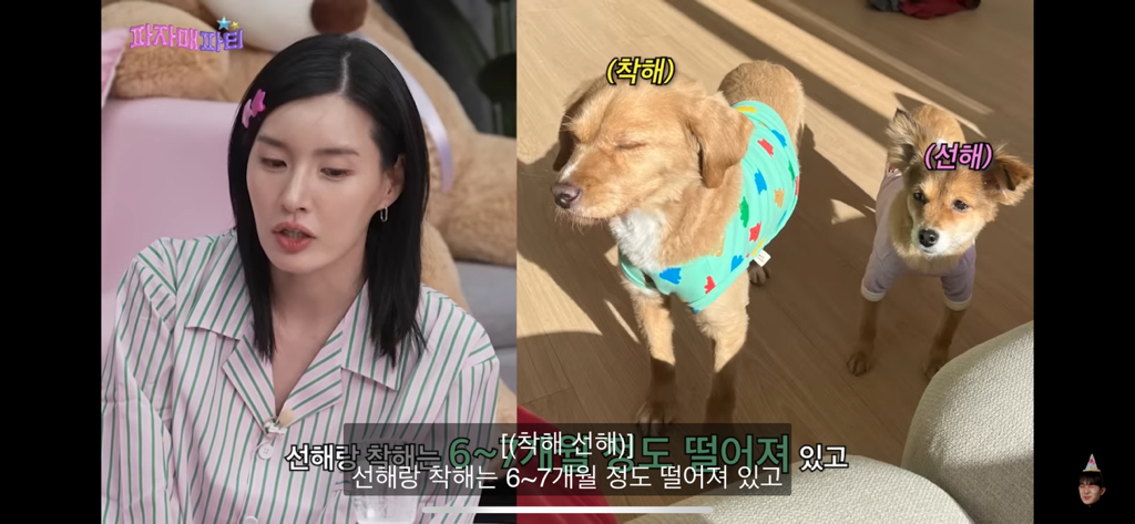 스우파 모니카쌤 반려견이 시댁에 있는이유 | 인스티즈