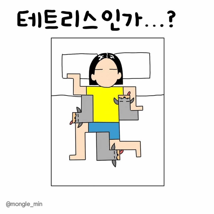 강아지랑 같이 잘 때 공감 | 인스티즈