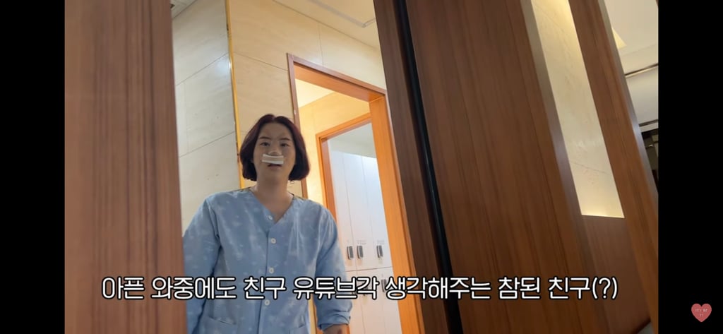 유혜주 유튜브에 등장한 코성형 브이로그 | 인스티즈