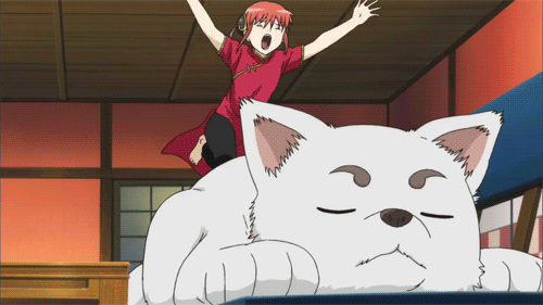 은혼 성전환편 캐릭터중 게녀들의 취향은? | 인스티즈