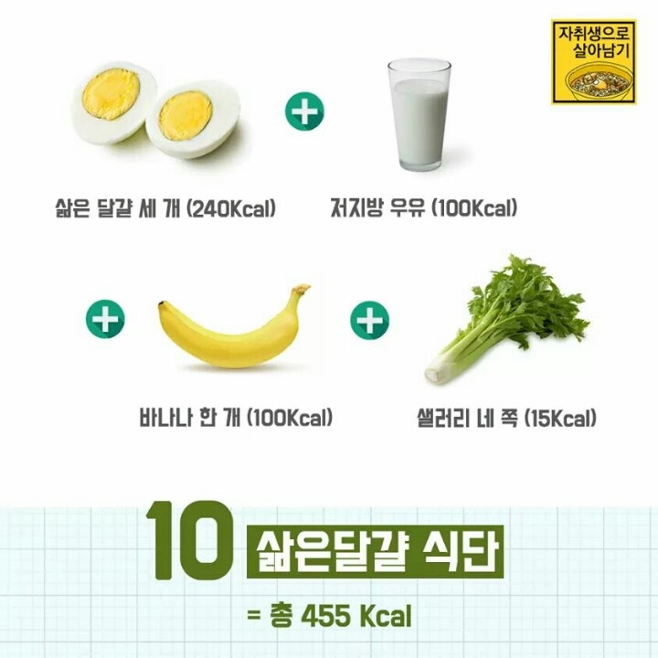 500Kcal 다이어트 식단 10가지 | 인스티즈
