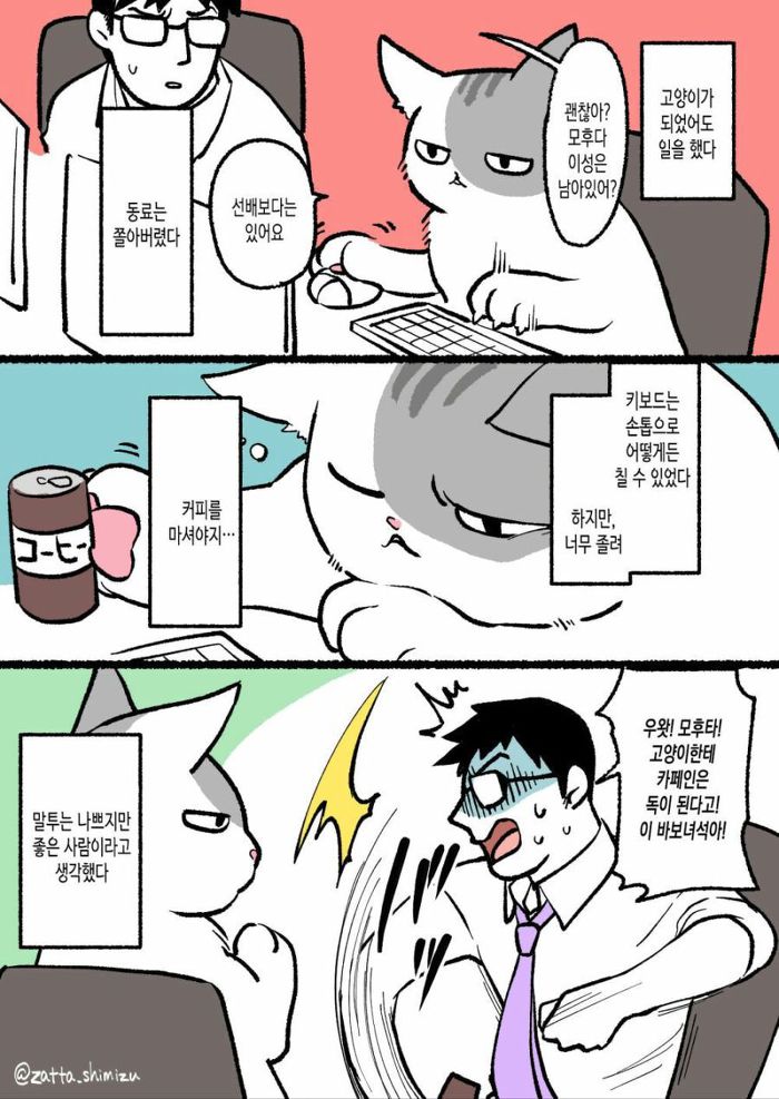 고양이가 된 회사원 만화 1~6화 | 인스티즈