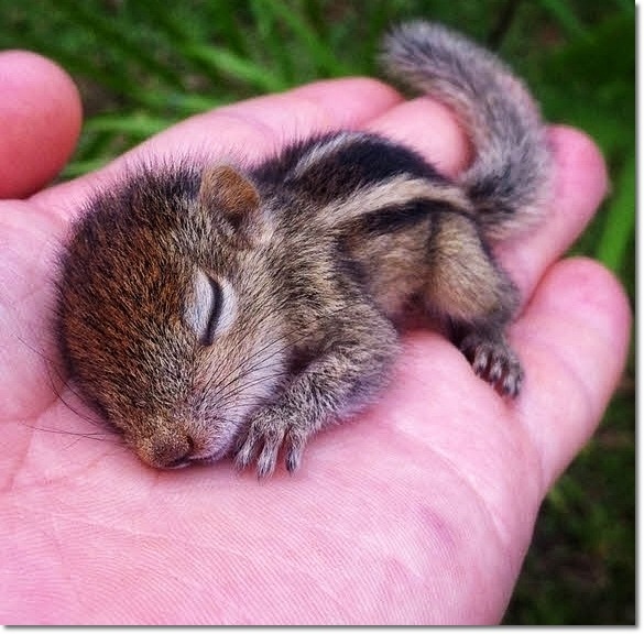 여자들이 남자를 이성으로 느끼는 기준(+심리효과) | 인스티즈