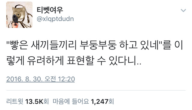 유려하고 우아하게 표현하기.twt | 인스티즈
