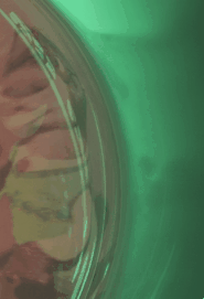 [주토피아X잘못된만남] 멍청한 토끼와 교활한 여우의 만남.gif -03- (망상주의) | 인스티즈