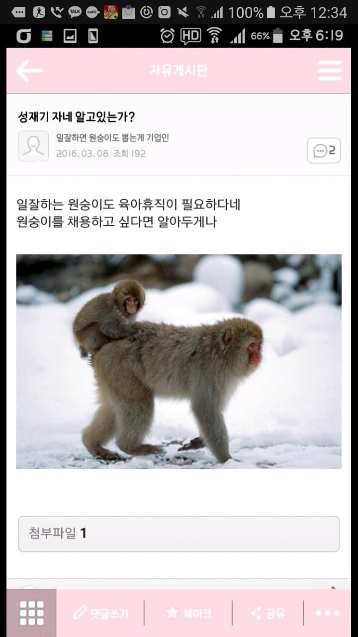 성재기 "일 잘하면 원숭이도 뽑는게 기업인" | 인스티즈
