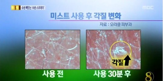 미스트의 진실 | 인스티즈