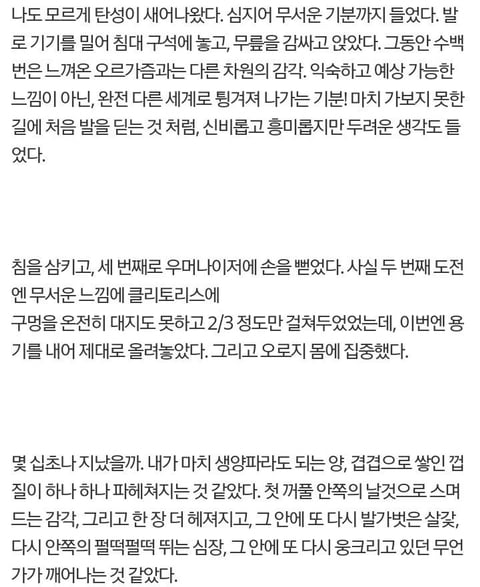 성인기구 10년 째 사용한 사람의 우머나이저 후기.txt | 인스티즈