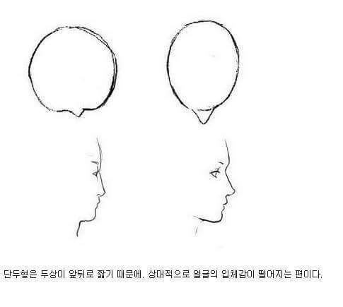 장두형vs단두형 | 인스티즈