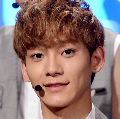 공룡상 연예인들 | 인스티즈