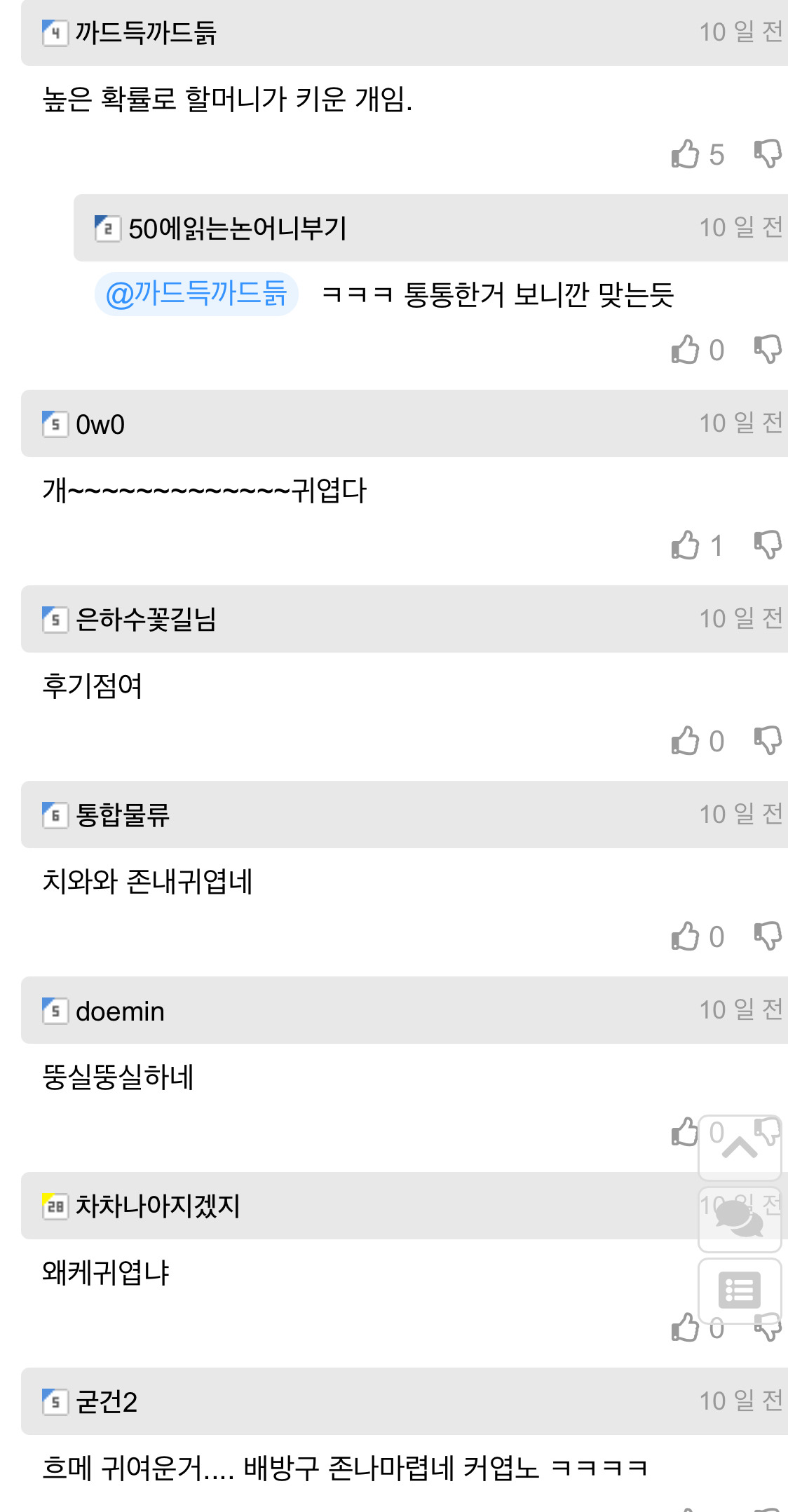 길잃은 뚱쭝 치와와 주인 찾아준 개드립인 | 인스티즈